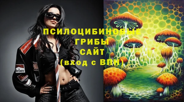 бошки Абдулино