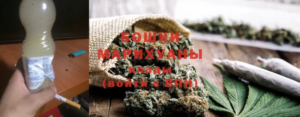 прущие грибы Абинск